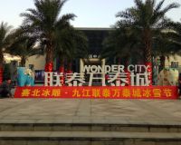 聯(lián)泰萬泰城冰雕節(jié)「賽北冰雕」