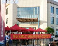 安遠祥光中央公園冰雕節「賽北冰雕」