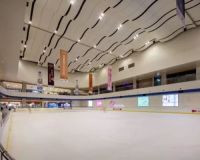 吉林長(zhǎng)白山保護(hù)開發(fā)區(qū)滑冰館建設(shè)項(xiàng)目「賽北冰雕」