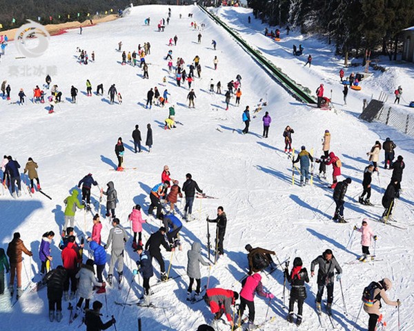專業(yè)的滑雪場設(shè)計廠家