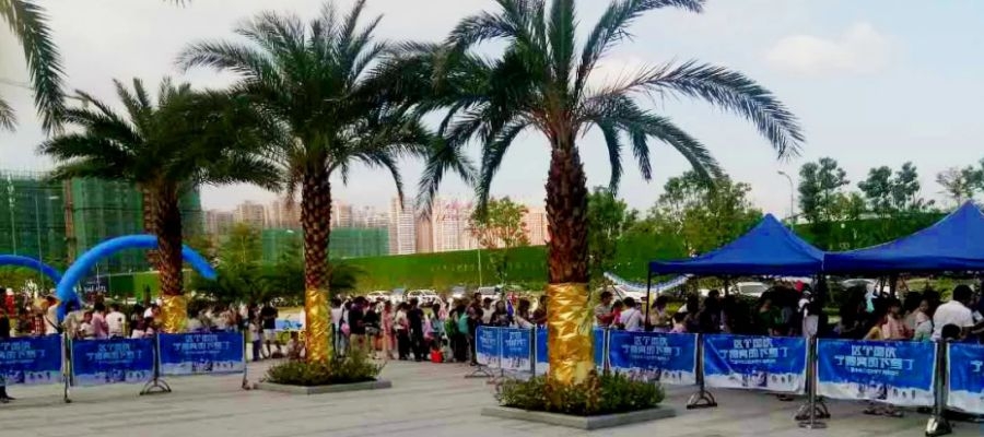 創(chuàng)意冰雕制作 創(chuàng)意冰雕制作