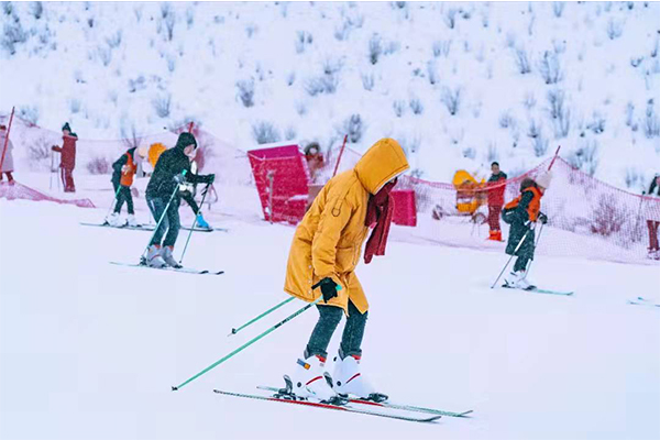 1640848070959781.jpg 446565.jpg