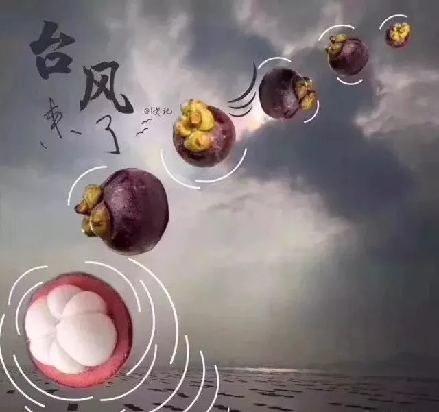 臺風無情人有情，應對臺風“山竹”，我們團結一心。